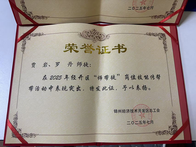 賈巖、羅丹師徒榮獲經(jīng)開區(qū)“師帶徒”崗位技能傳幫帶活動表彰